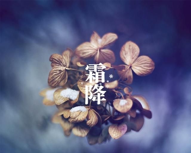 霜降时节如何进补(当下霜降时节进补尤为重要)图4