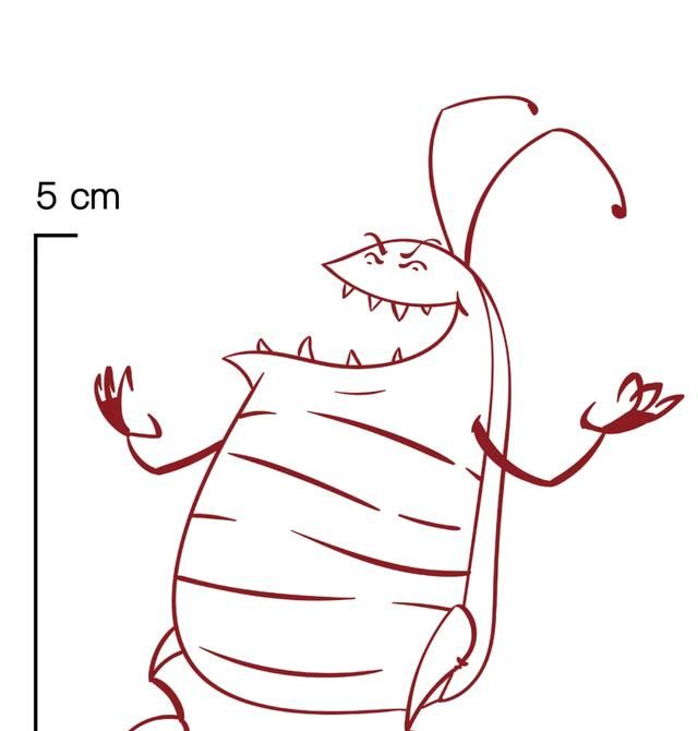 北方人永远不知道,南方的蟑螂有多大图4