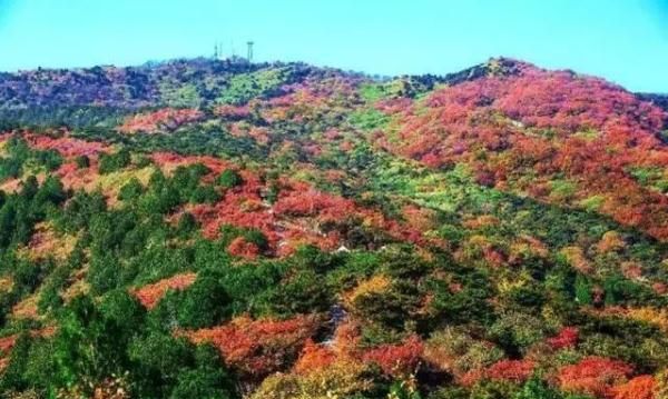 2021北京红叶观赏指南！20处最美赏秋地，什么时候看、怎么看，这里统统有图7