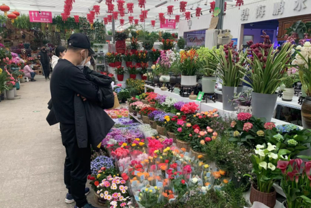 北京春节期间营业的花卉市场,北京年宵花卉市场在哪儿图1