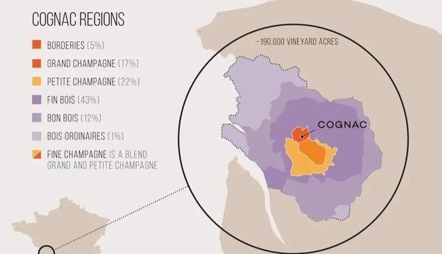 法国干邑cognac烈性酒是,cognac干邑白兰地图2