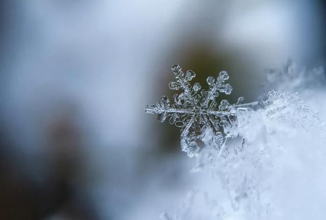 世界上有没有两片一样的雪花图2