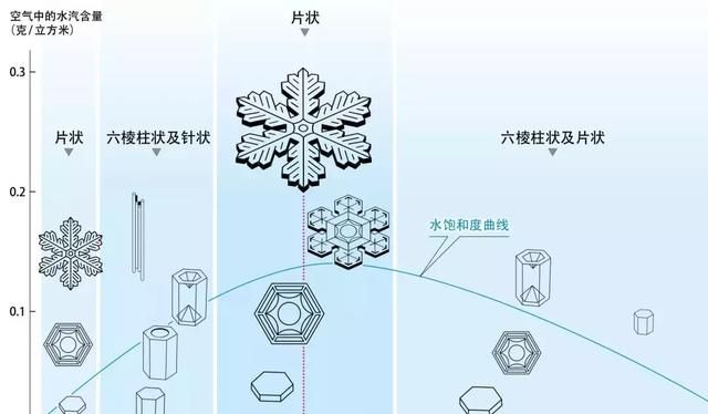 世界上有没有两片一样的雪花图27