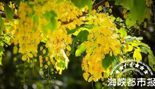 中秋节的由来和故事简短文字,中秋节的由来简短故事20个图1