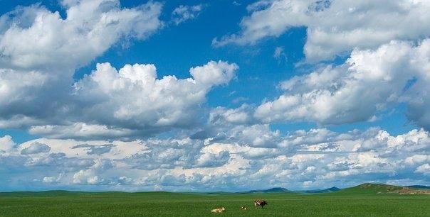 “天行健，君子以自强不息；地势坤，君子以厚德载物”是什么意思图7