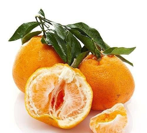 你吃过最好吃的橘子是什么样的,橘子最好吃的十大品种图2
