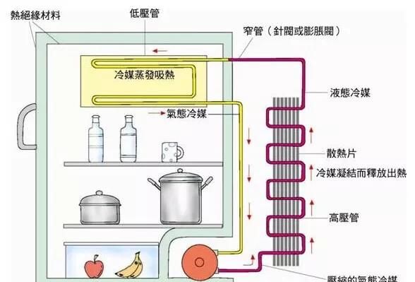 冰箱制冷原理是什么,家用冰箱制冷的原理是什么图2