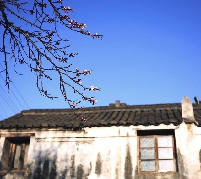 宁波慈溪怎么样,慈溪景区怎么样图3