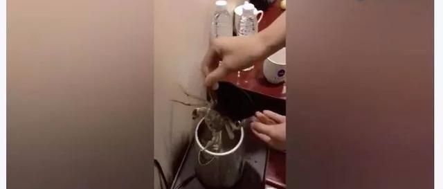 住酒店为什么要烧壶水倒马桶(入住酒店为何要给马桶倒一壶热水)图2