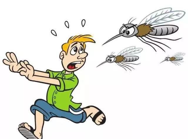 蚊子到底能不能飞多高图4
