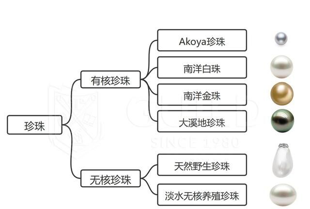 珍珠为什么会有各种颜色图6