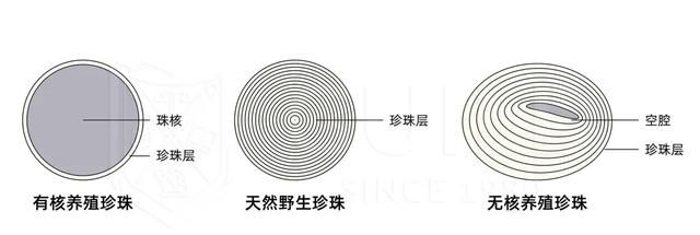 珍珠为什么会有各种颜色图7