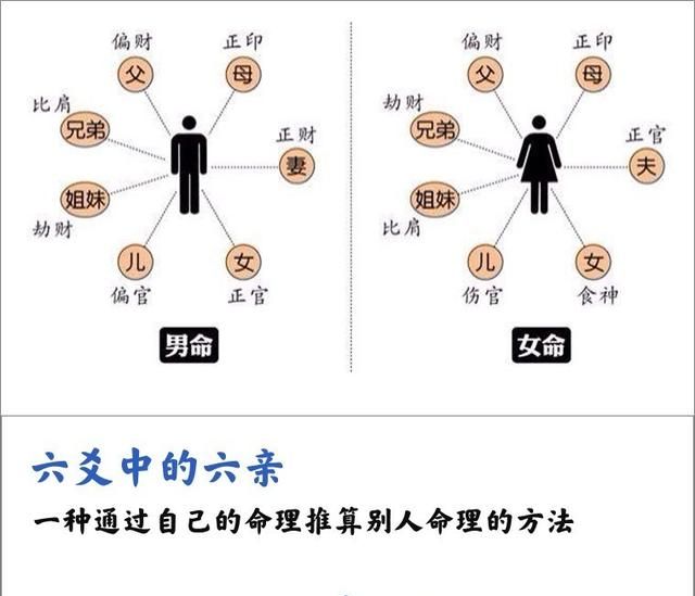 六亲不认中的六亲指的是亲哪六亲图4