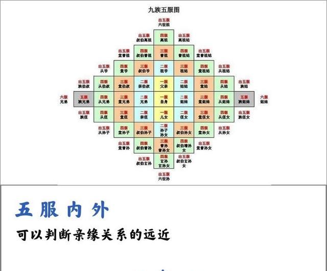 六亲不认中的六亲指的是亲哪六亲图10