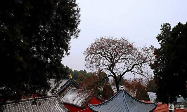 云山正觉寺(法云山正觉寺)图4