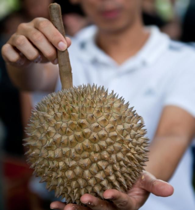 买榴莲买几斤的最划算(如何选榴莲口诀)图9