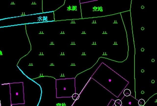 地图上植被的表示方法(地图与等高线地形图知识点梳理)图2