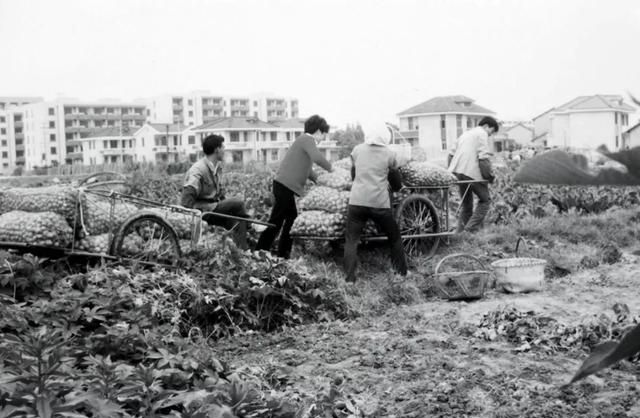 虹桥是哪里的城市,乐清虹桥哪里有好玩的地方图23