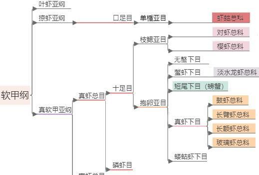 对虾基围虾罗氏虾哪个便宜?图11