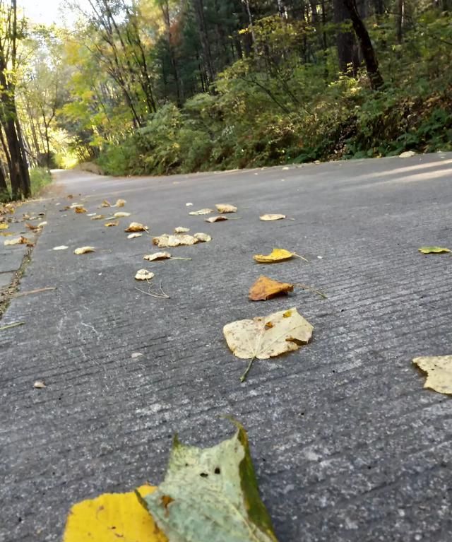 人生最痛苦的是白发人送黑发人,白发人送黑发人是一种怎样的痛苦图1