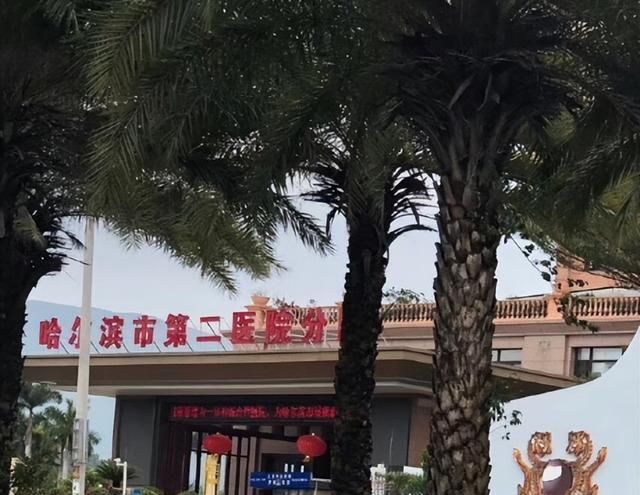 为什么说三亚是东北的第四个省(东北自驾游到海南三亚)图8