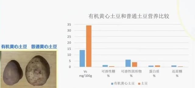 有机菜从菜园到餐桌都经历了什么图3