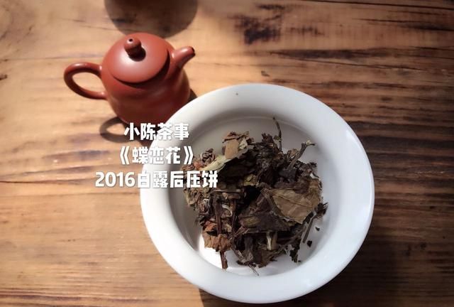 绿茶的哪种茶适合紫砂壶冲泡图1