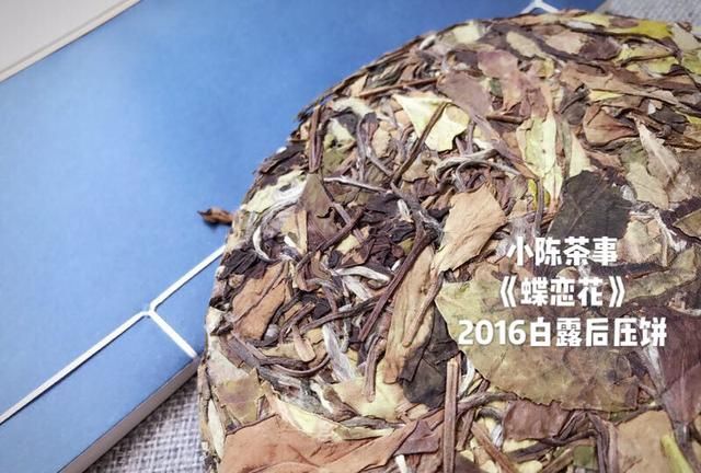 绿茶的哪种茶适合紫砂壶冲泡图8