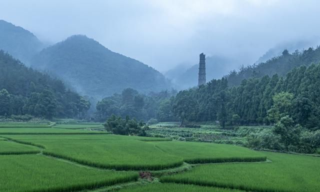 浙江第一高峰是龙泉市凤阳山的黄茅尖海拔1929米图5