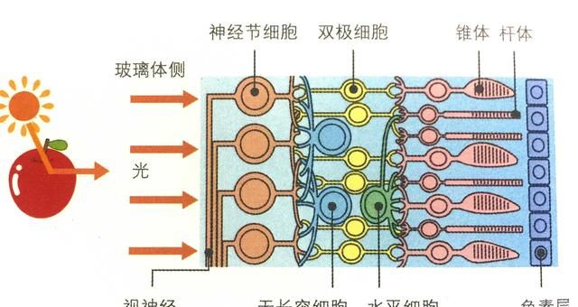 色彩明度是什么图5