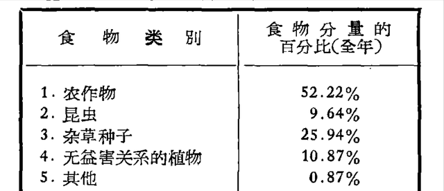 麻雀的寿命有多长他们死在哪里图4