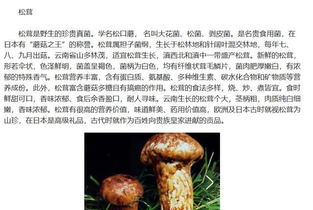 菌类食材都有哪些图片,菌类大全什么最好吃图3