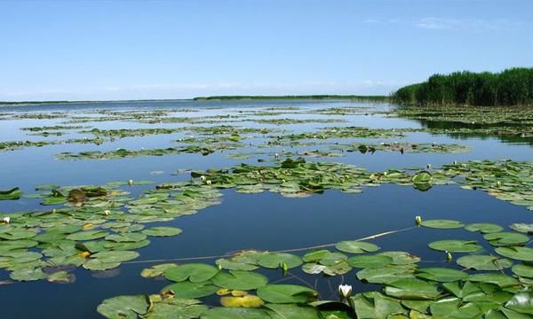 中国最美五大湖泊青海湖图10