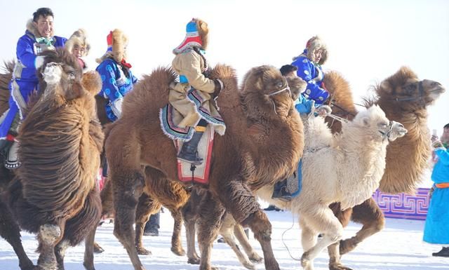 冰雪世界零下20度的草原泼水成冰图6