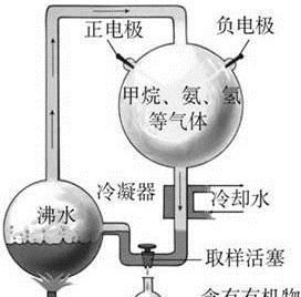 人和动物共同的根脉是什么图6