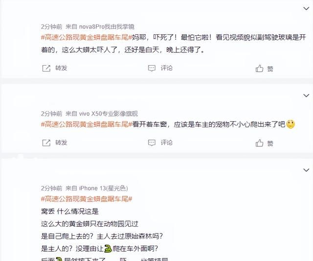 轿车爬出黄金蟒,带条小宠物蛇能上火车吗图2