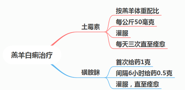 羊羔拉稀拉痢怎么治图3