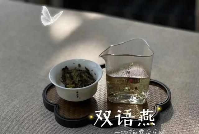 白茶三层包装的长期保存方法(春季白茶的储藏方法与技巧)图1