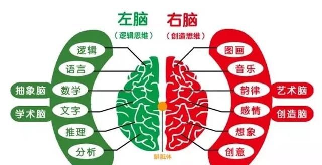 提高孩子思维能力的逻辑狗(逻辑狗培养孩子的逻辑思维)图2