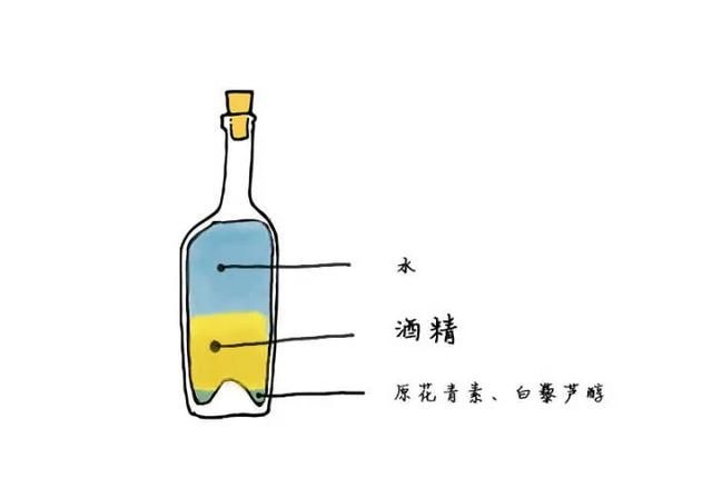 红酒和葡萄酒有什么区别图9