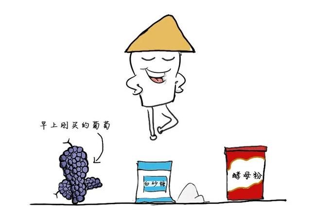 红酒和葡萄酒有什么区别图32