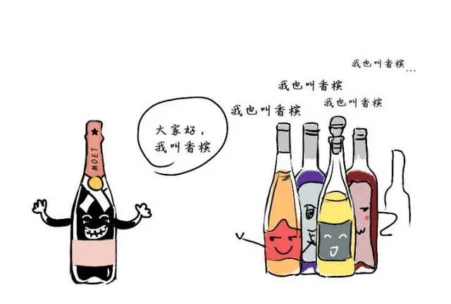 红酒和葡萄酒有什么区别图35