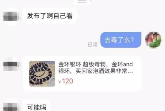 中国陆地最毒的蛇排名第一图2