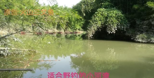 钓浮和钓行程有什么不同(钓白条用行程还是钓浮好)图2