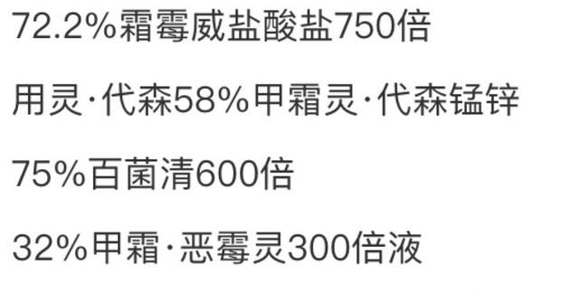 苦瓜里面长虫是什么原因(苦瓜里面长虫不打药用什么方法)图3