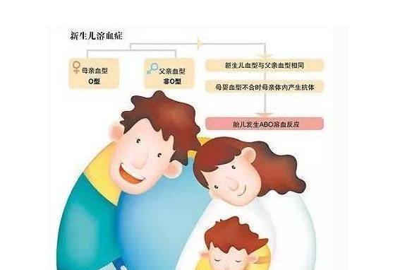 请问o型血有什么好处和坏处,孕妇o型血的好处和坏处图5