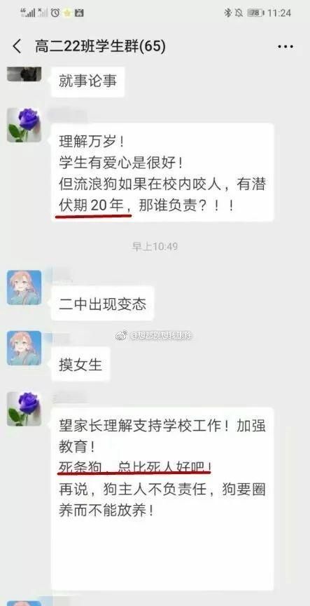 如果有人虐狗怎么办(哪种狗最适合陪伴并且保护主人)图6