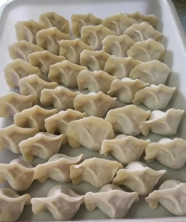 苦瓜可以包饺子吗(苦瓜饺子窍门)图5