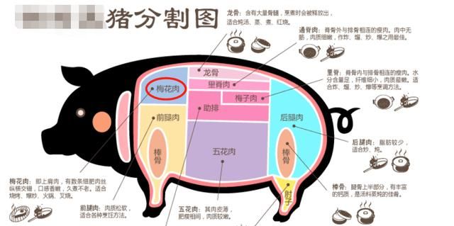 猪身上有梅花肉怎么做好吃,猪身上5个部位最好吃梅花肉图2