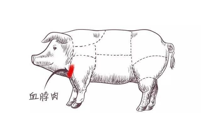 猪脖肉到底能不能吃图2